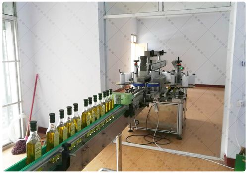 设备生产线-某橄榄油加工生产企业研发设备_郑州星火包装机械有限公司