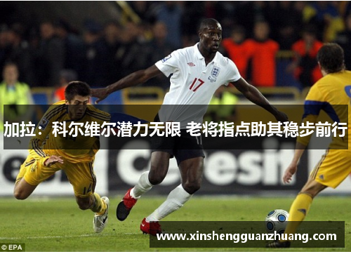 加拉：科尔维尔潜力无限 老将指点助其稳步前行