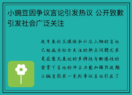 小豌豆因争议言论引发热议 公开致歉引发社会广泛关注